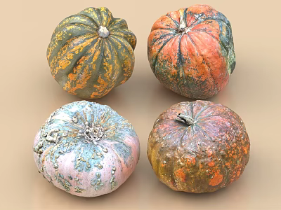 Four Vibrant Multicolored Pumpkins With Green Orange Pink Textured Skin 3d model