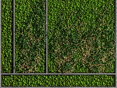 Interior Living Green Wall Design Featuring Various Plant Species And Sectioned Panels 3d model