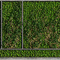 Interior Living Green Wall Design Featuring Various Plant Species And Sectioned Panels