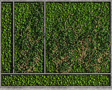 Modern Plant Wall 3d model