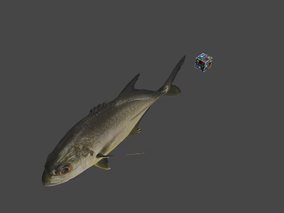 Realistic Fish Model With Floating Colorful Dice In Gray Background 3d model