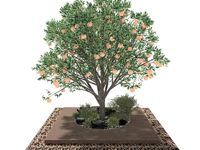 Garden Ornament Featuring Orange Fruited Tree On Wooden Platform With Small Plants And Gravel 3d model