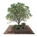 Garden Ornament Featuring Orange Fruited Tree On Wooden Platform With Small Plants And Gravel