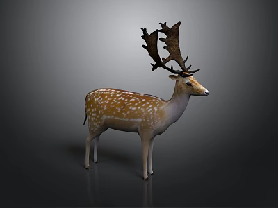 Detailed Spotted Deer With Large Antlers Standing On Dark Gray Background 3d model