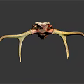Decorative Bull Skull With Long Horns Red Yellow On Dark Background With Reflection