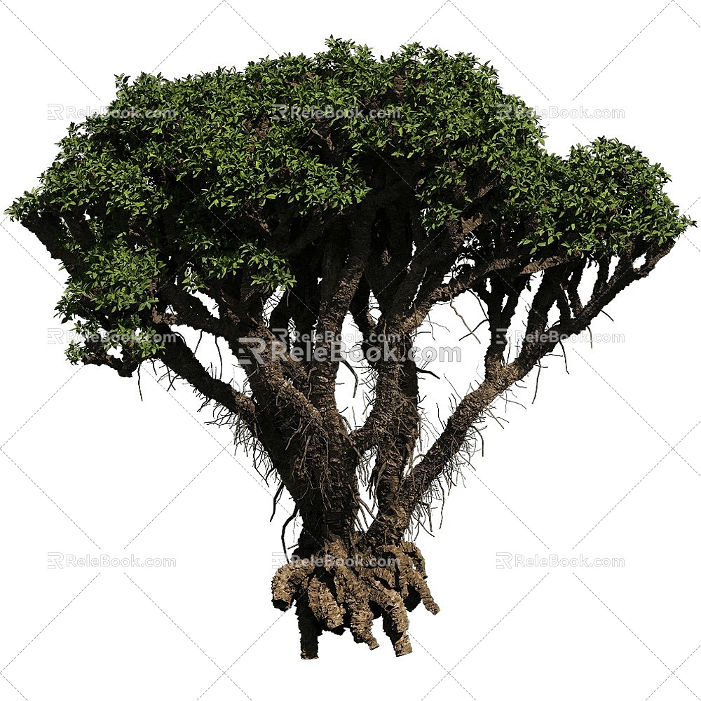 tree landscape tree shrub plant 3d model