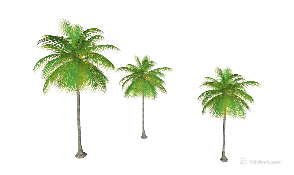 Three Different Sizes Palm Trees With Green Fronds And Brown Trunks 3d model 