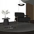 Modern Interior Leather Single Sofa With Metal Legs Round Side Table Green Plant Hanging Lamp
