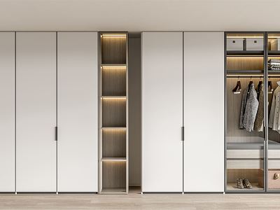 Modern wardrobe combination model