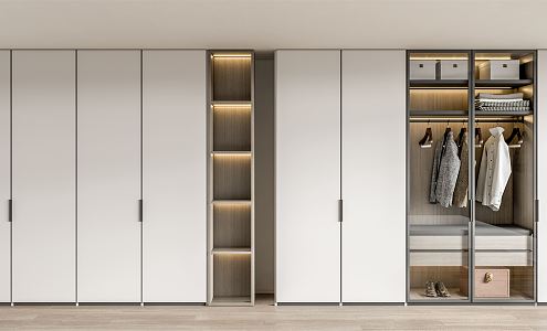 Modern wardrobe combination 3d model