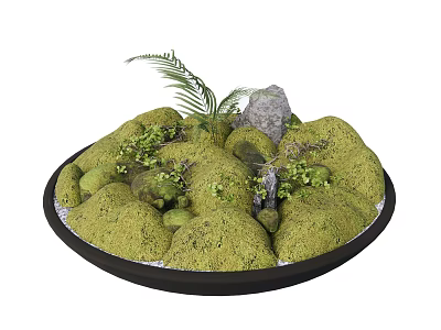 Bonsai Plant in Round Pot with Moss Covered Rocks and Small Fern 3d model