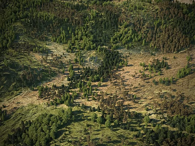 Lush Arbor Forest With Green Canopy And Diverse Vegetation In Natural Landscape 3d model