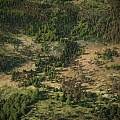 Modern Mountain Modern Tree Forest Bird's Eye View Mountain Mountain Forest Bird's Eye View Aerial View 3d model