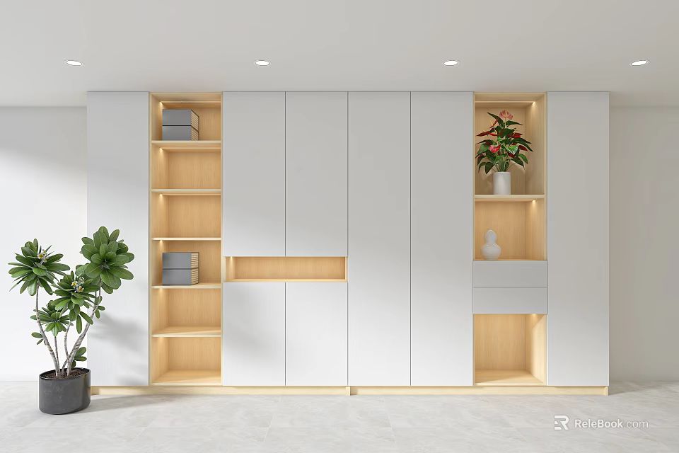 Modern Entryway Cabinet And Side Cabinet With Wooden Shelves White Drawers And Green Plant 3d model 