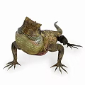 Reptile Lizards Shown In Multiple Angles With Natural Poses And Detailed Features