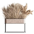 Shower Sauna Space Decorated With Dried Wheat Herbs In Wooden Planter