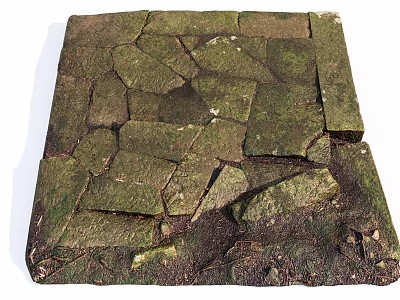 Natural Stone Ground Laid With Irregular Stones Covered In Green Moss For Rustic Natural Look 3d model