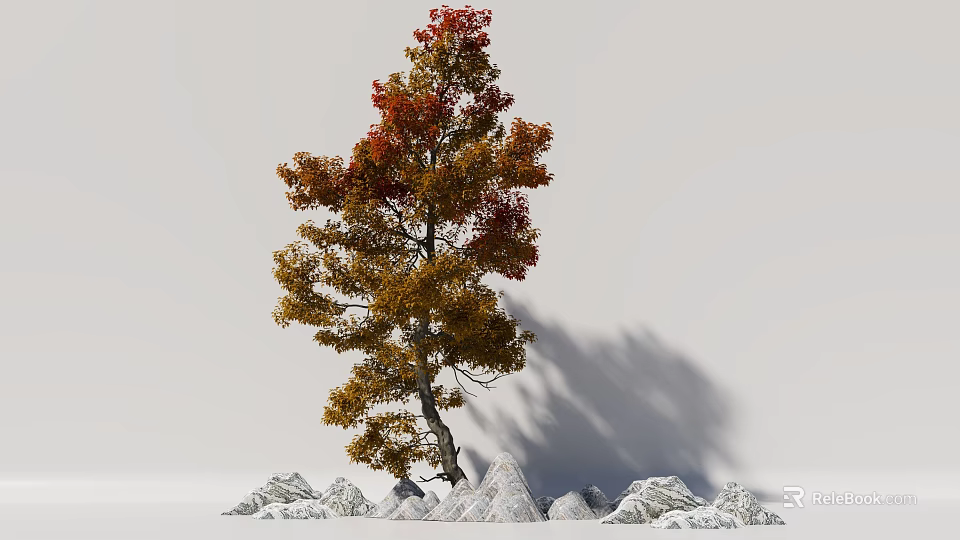 Deciduous Tree With Red And Yellow Leaves And White Rocks Around Gray Background 3d model 