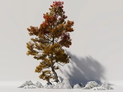 Deciduous Tree With Red And Yellow Leaves And White Rocks Around Gray Background 3d model