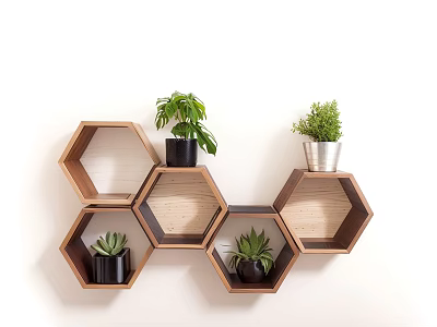 Wall Mounted Hexagonal Wooden Shelves With Decorative Potted Green Plants Indoor 3d model