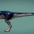 Realistic Green And Blue Spotted Dinosaurs Standing On Teal Background