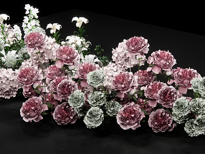 Beautiful Floral Arrangement With Pink Peonies White Lilies And Green Leaves On Black Background 3d model