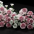 Beautiful Floral Arrangement With Pink Peonies White Lilies And Green Leaves On Black Background