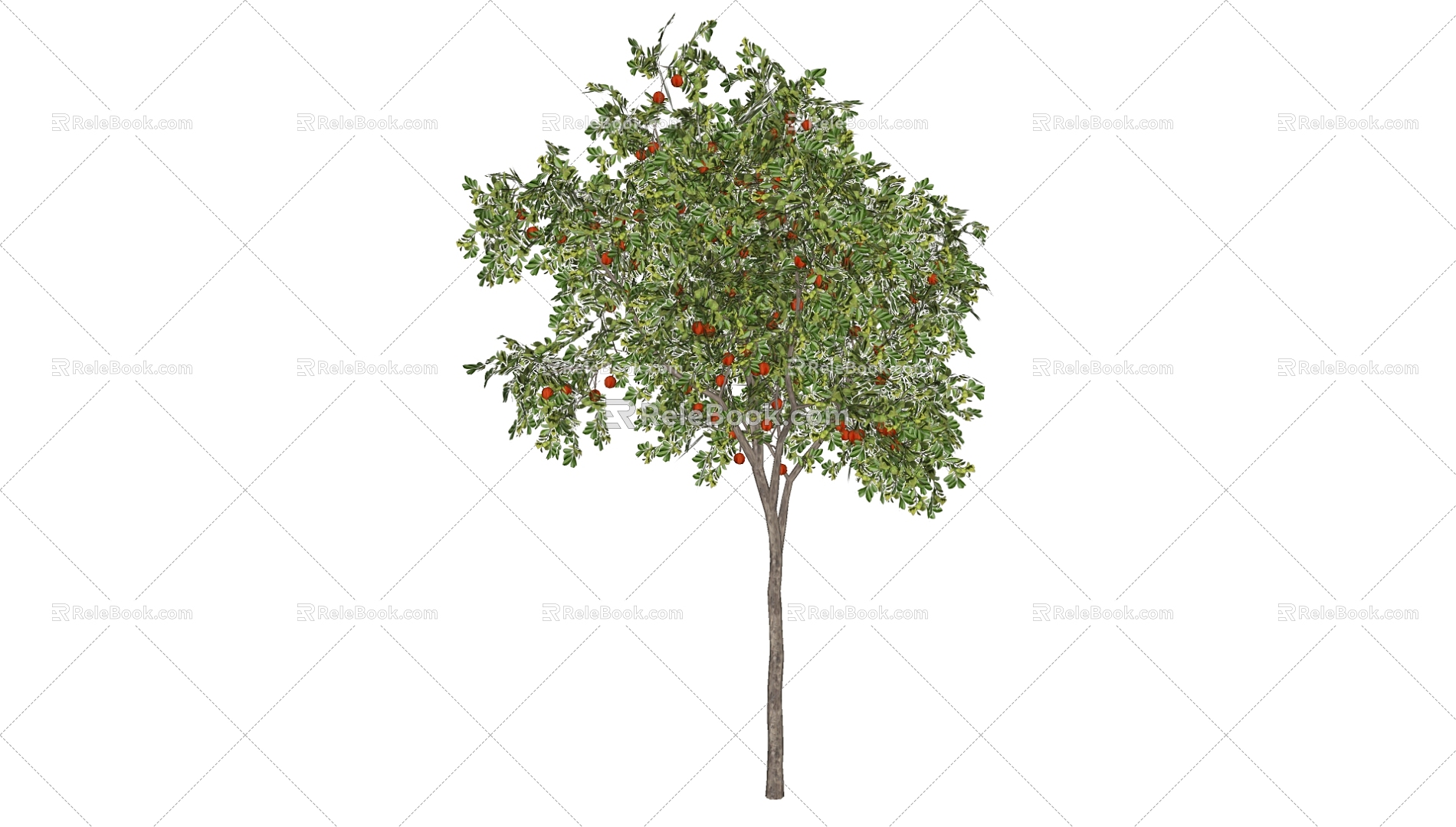 fruit tree 3d model