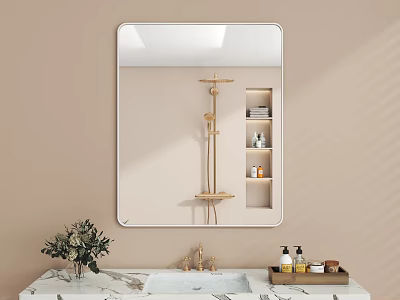 Bathroom Mirror In Neutral Bathroom Reflecting Shower Area And Wall Niche 3d model