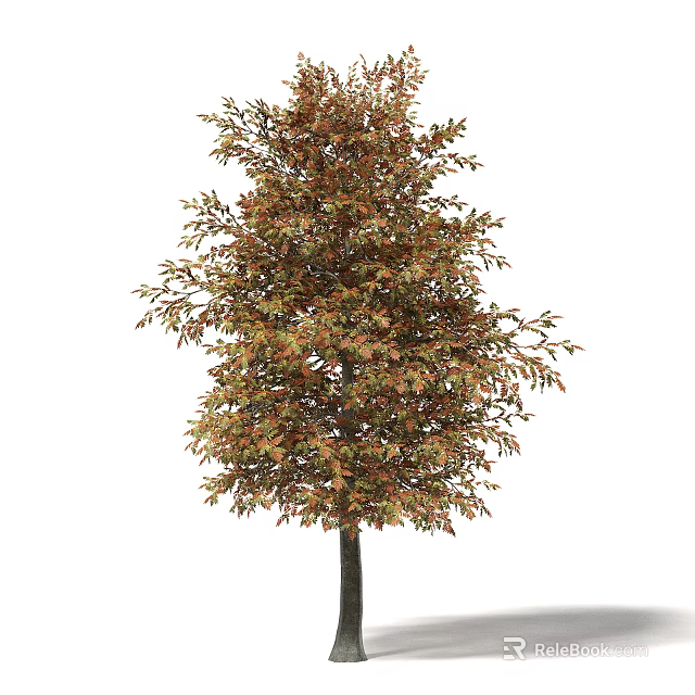 Tall Deciduous Tree with Vibrant Orange and Green Autumn Foliage in Natural Outdoor Environment 3d model 