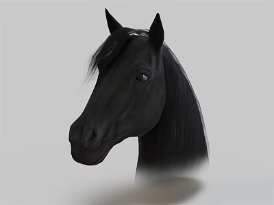 Black Horse Head Portrait With Mane Ears And Eyes On Gray Background 3d model