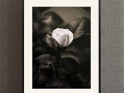 Black and White Framed Botanical Painting of Rose with Leaves Artwork 3d model