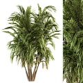 green palm tree 3d model