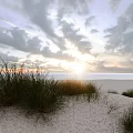 Tall Grass Swaying On Sandy Beach With Calm Sea And Sunlight Through Cloudy Sky