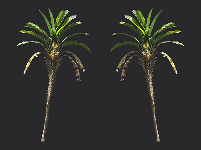 Pair of Leafy Arbor Trees with Vibrant Green Foliage and Thin Trunks on Dark Background 3d model