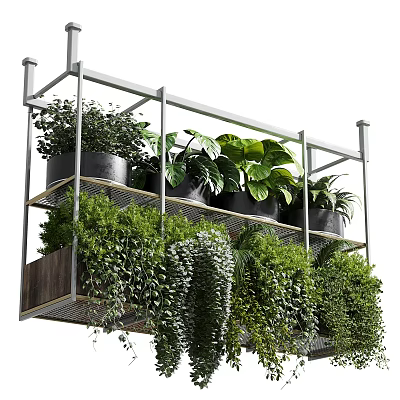 Various Lush Green Potted Plants On Multi Tiered Metal Shelf With Hanging Trailing Vines 3d model