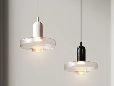 Modern Pendant Lights With White Black Metal Base And Transparent Glass Shade 3d model