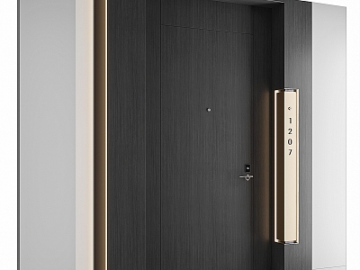 Modern entry door swing door model