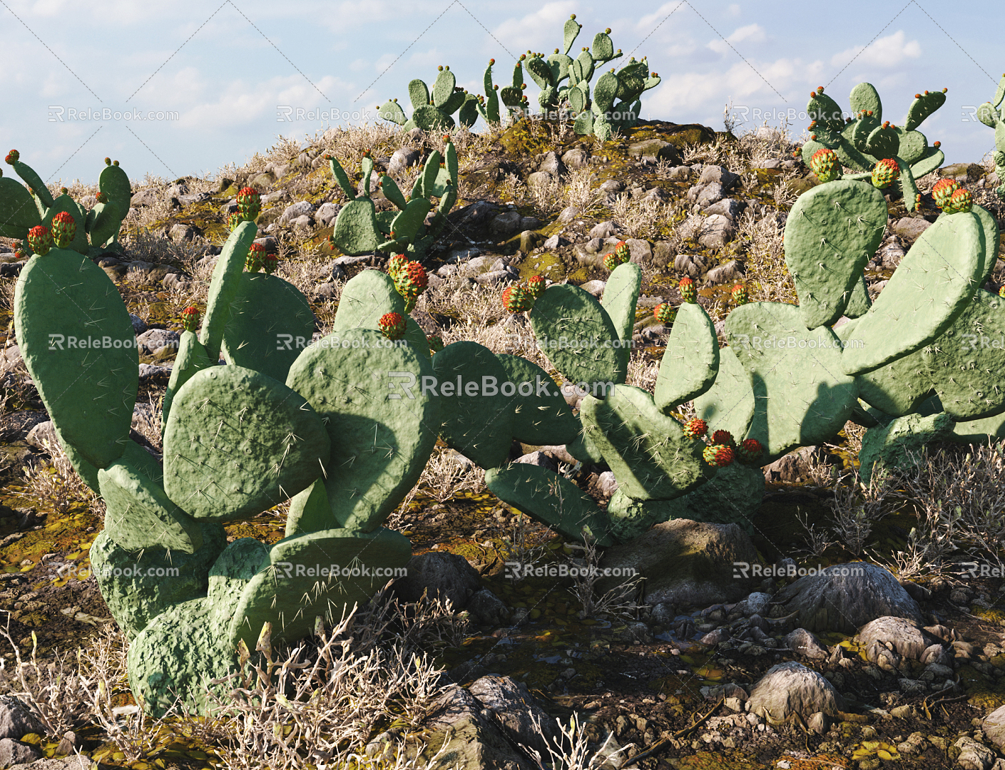 Modern Cactus 3d model