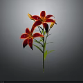 Red Lily With Two Blooming Flowers Two Buds Green Stem And Leaves On Gray Background