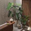 Large And Small Indoor Potted Plants With Wooden Table Decorative Lamp Geometric Pattern Wall
