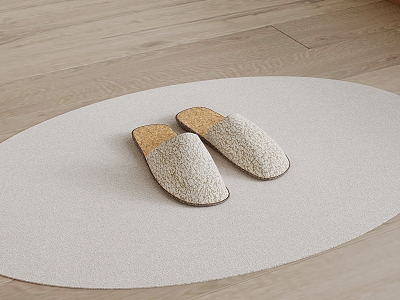 Modern toilet carpet slippers 3d model