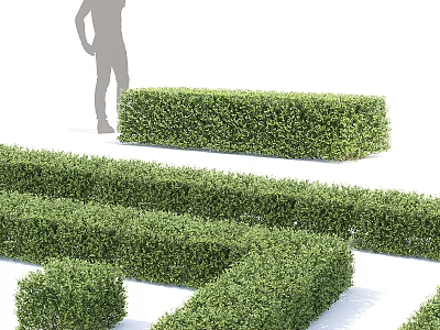 Decorative Green Hedge Ornament Set with Trimmed Shapes and Human Silhouette 3d model