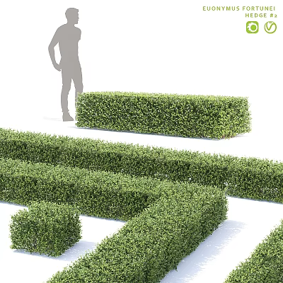 Decorative Green Hedge Ornament Set with Trimmed Shapes and Human Silhouette 3d model