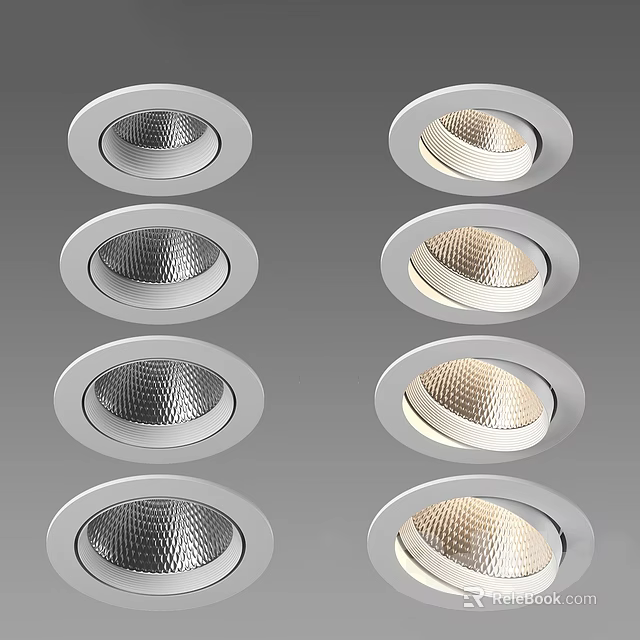 Various Design Downlights And Spotlights With Silver Frame Textured Cups And Illuminated Effect 3d model 