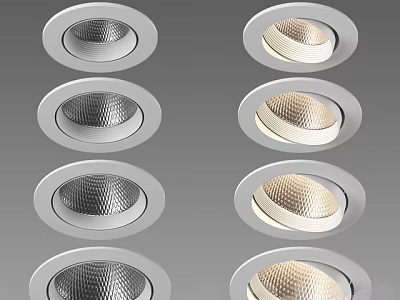 Various Design Downlights And Spotlights With Silver Frame Textured Cups And Illuminated Effect 3d model
