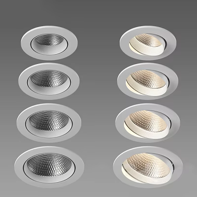 Various Design Downlights And Spotlights With Silver Frame Textured Cups And Illuminated Effect 3d model