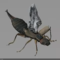 Detailed 3D Insect Model With Transparent Wings And Segmented Exoskeleton Structure