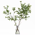 Assorted Vase Flowers With Green Eucalyptus Golden Branches And Various Green Foliage In Glass Vases