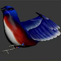 Blue Red White Bird with Spread Wings Standing on Black Background and Reflection 3d model